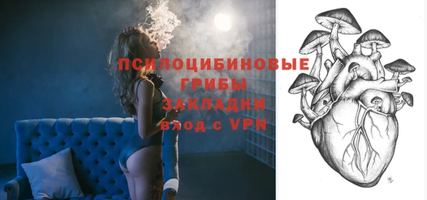 твердый Арсеньев