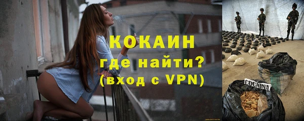 твердый Арсеньев