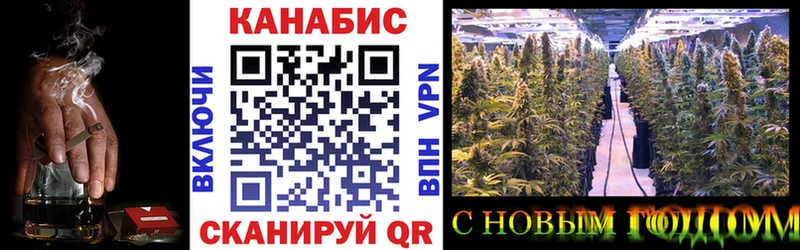 Каннабис SATIVA & INDICA  где купить наркотик  omg ССЫЛКА  Мирный 